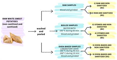 Optimizing sweet potato production: insights into the interplay of plant sanitation, virus influence, and cooking techniques for enhanced crop quality and food security